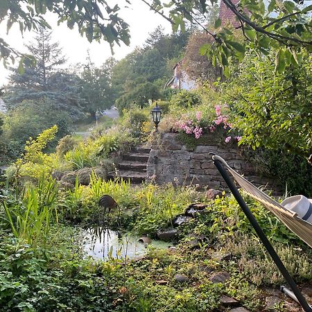 Ferienwohnung Kellerwald Waldeck  Bagian luar foto