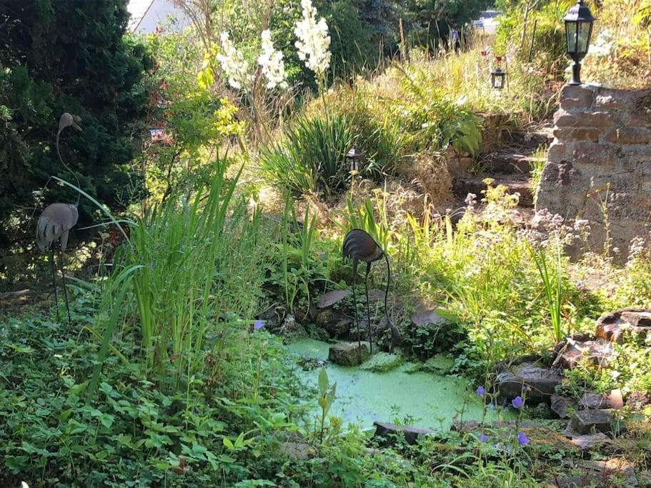 Ferienwohnung Kellerwald Waldeck  Bagian luar foto