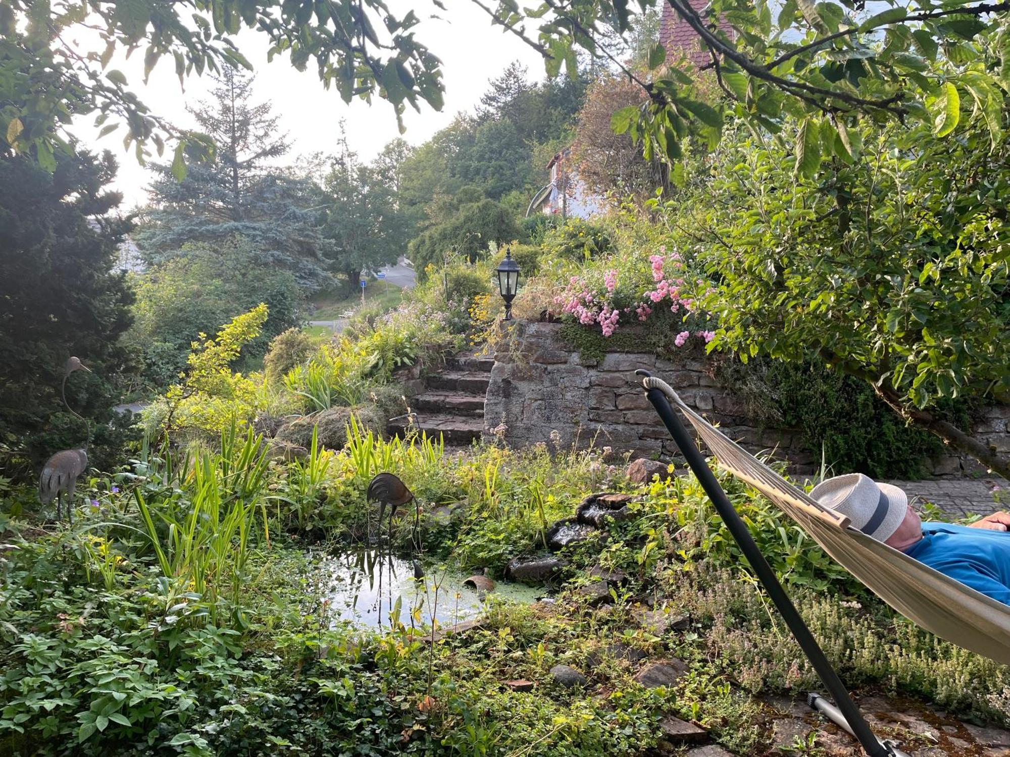 Ferienwohnung Kellerwald Waldeck  Bagian luar foto